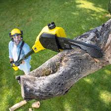 Best Aeration Services  in Goodyear, AZ